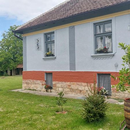 Apartmani Petkovic 226 Velika Drenova Exterior foto