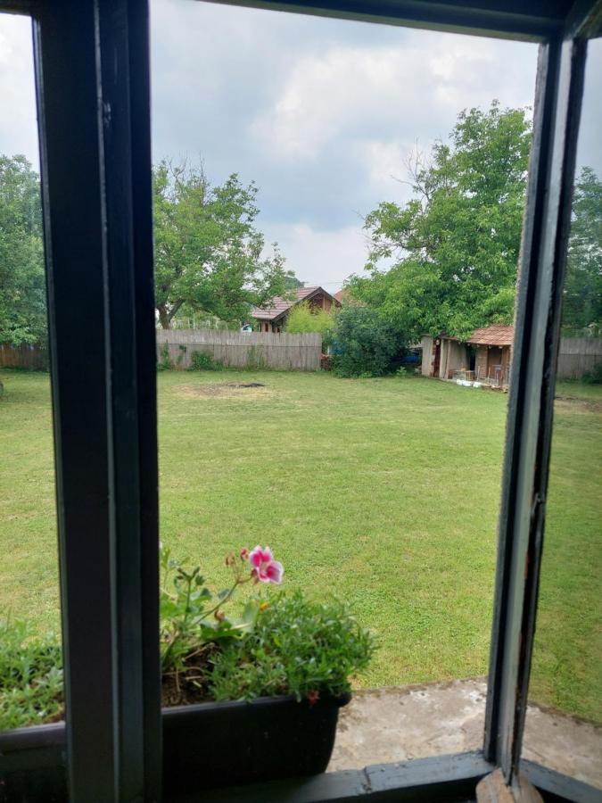 Apartmani Petkovic 226 Velika Drenova Exterior foto
