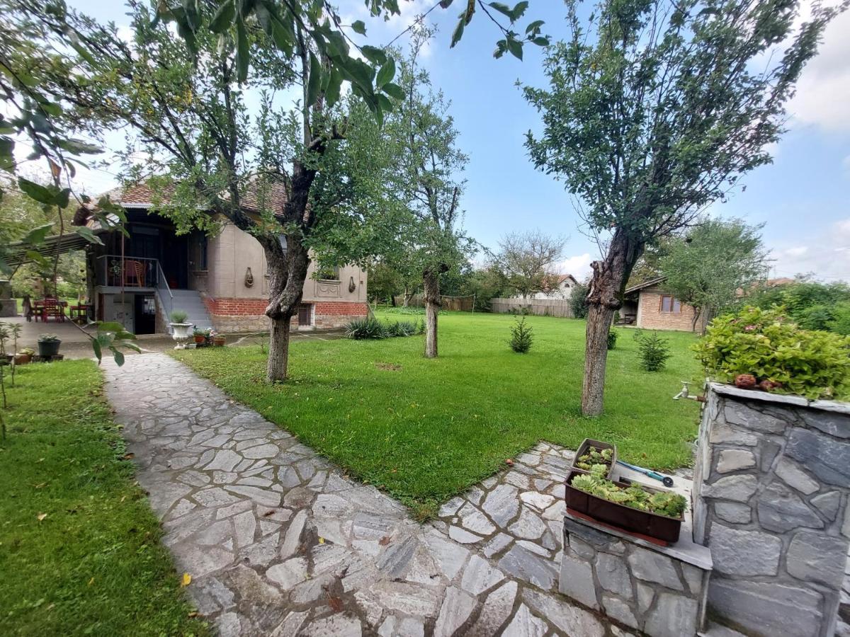 Apartmani Petkovic 226 Velika Drenova Exterior foto