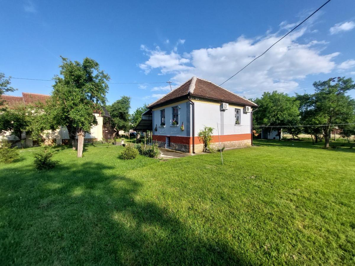 Apartmani Petkovic 226 Velika Drenova Exterior foto